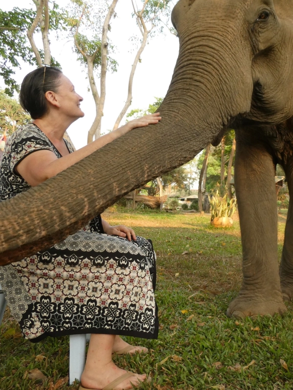 Christine Bonnemains